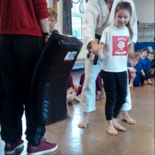 karate 2